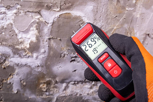 Best Emergency Mold Remediation in Warson Woods, MO