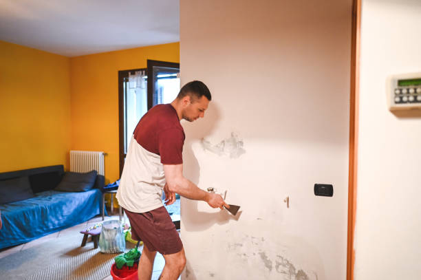 Best Health and Safety Mold Remediation in Warson Woods, MO